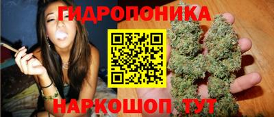 индика Балаково