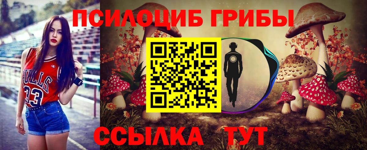 Еманжелинск  Галлюциногенные грибы мицелий  Галлюциногенные грибы Cubensis  Вход с VPN 