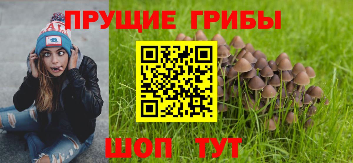 Псилоцибиновые грибы Cubensis Еманжелинск